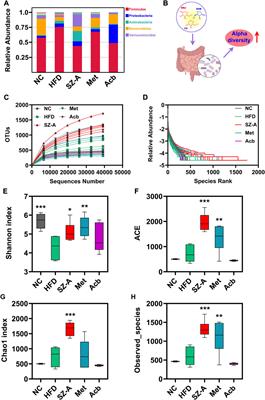 Ramulus mori (Sangzhi) alkaloids regulates gut microbiota disorder and its metabolism profiles in obese mice induced by a high-fat diet